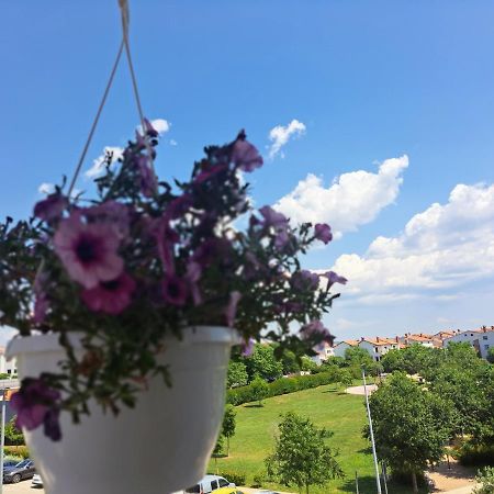 Battistella'S Near The Sea Apartment Rovinj Ngoại thất bức ảnh
