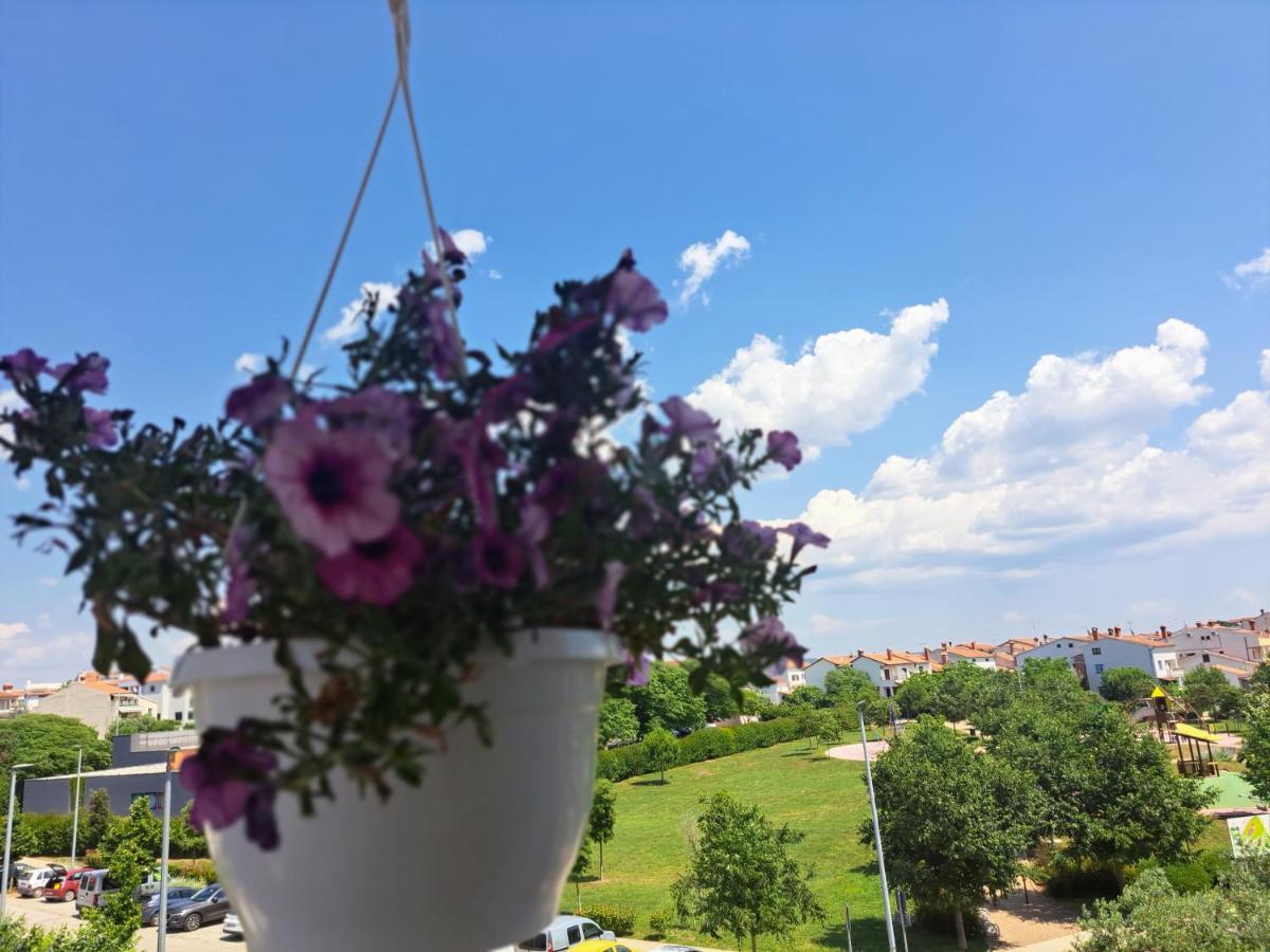 Battistella'S Near The Sea Apartment Rovinj Ngoại thất bức ảnh